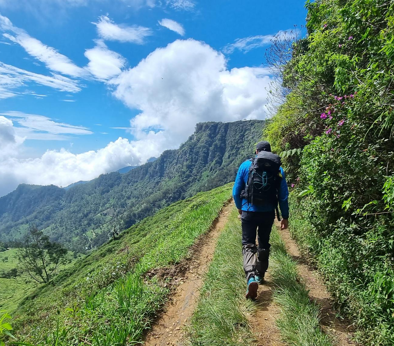 Hiking Nature Trails_