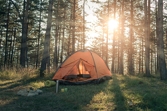 LT Camping Activities