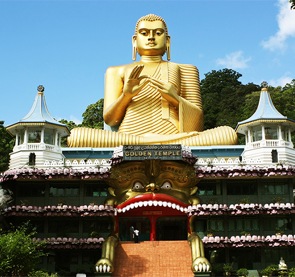 LT Dambulla Destination