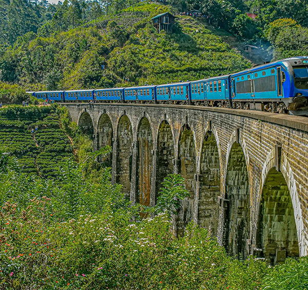LT Ella Destination