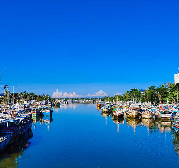 LT Negombo Destination