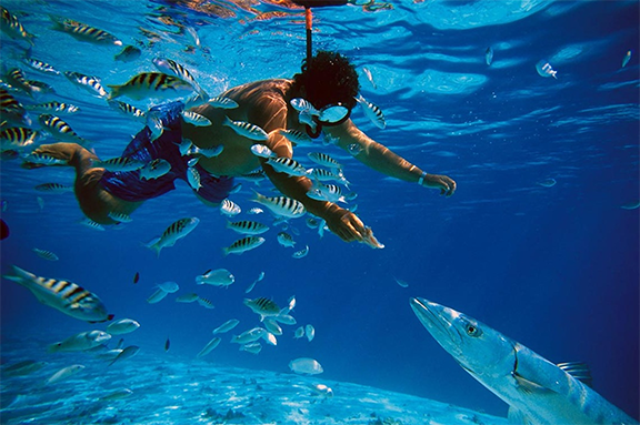 LT Snorkeling Activities