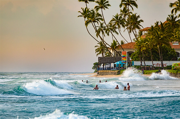 LT Surfing Activities
